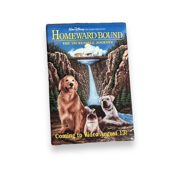 Vintage Disney Buttons LOT OF 6 Rescuers Beauty and the Beast Jungle Book 90s - Picture 5 of 8